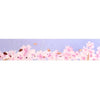 Bloom Sakura Floral Floor washi (15mm + rose gold foil)